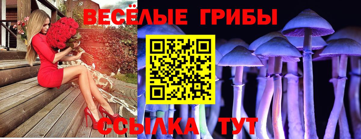 Псилоцибиновые грибы Magic Shrooms Десногорск
