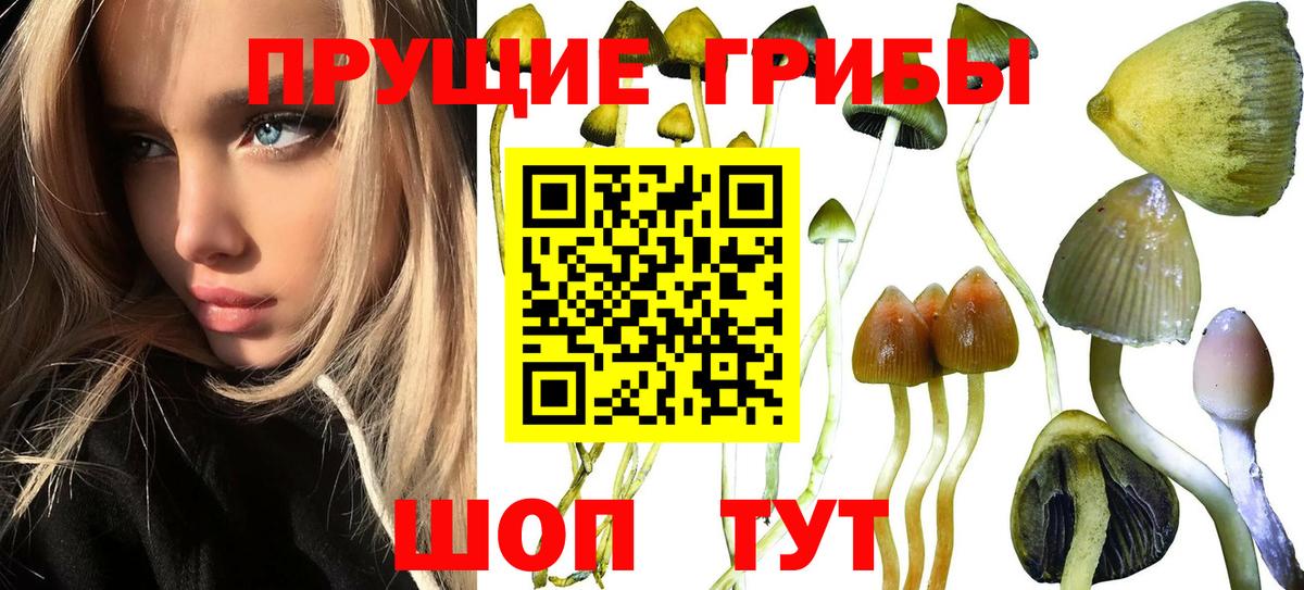 Десногорск  Псилоцибиновые грибы Magic Shrooms  Вход с VPN 
